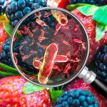 Sensores para detectar bacterias en alimentos: Tecnología al servicio de la seguridad alimentaria